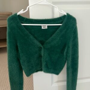 Aritiza cropped sweater